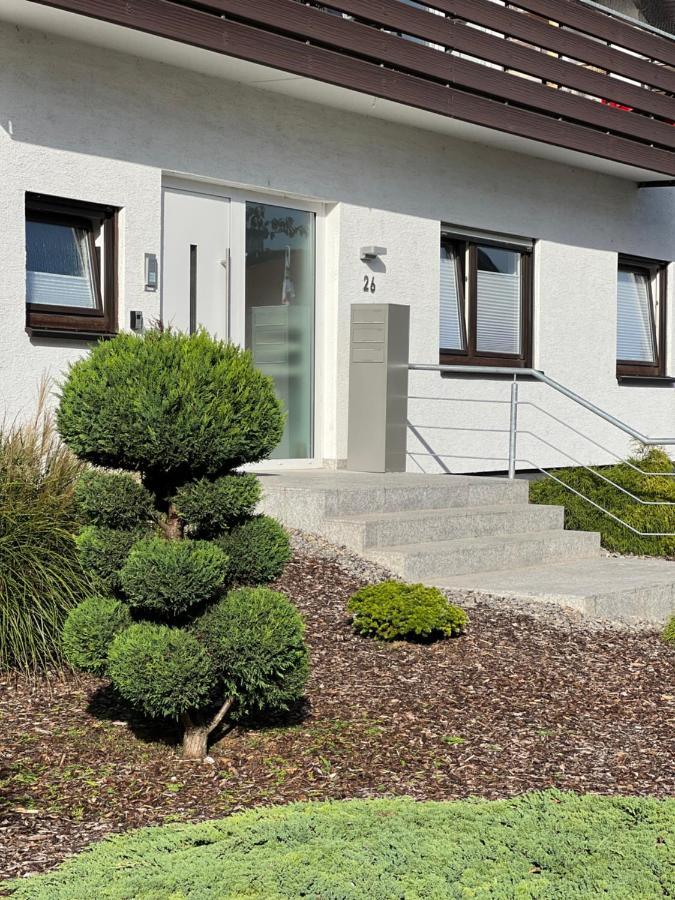 Xxl Apartment Sinsheim Zewnętrze zdjęcie